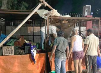 सब्जी की दुकान में पेट्रोल छिड़ककर युवक ने लगाई आग Loharu News