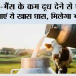 Milk Production