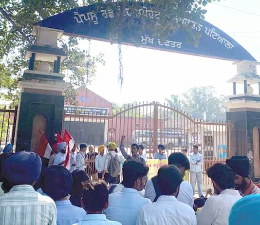 Patiala News