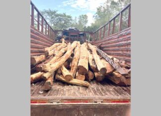 फर्जी बिलों पर हो रही थी खैर की तस्करी वन्य प्राणी और वन विभाग ने नाका लगाकर दबोचे शिकायत पर पुलिस ने किया मामला दर्ज Pratap Nagar News