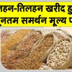 Rajasthan News