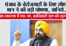Punjab News: पंजाब के बेरोजगारों के लिए सीएम मान ने की बड़ी घोषणा, जानिये… Punjab News