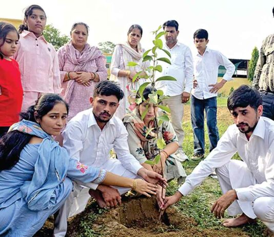 सचखंडवासी प्रेमी सोहनलाल मोंगा की अस्थियों पर परिजनों ने लगाए फलदार पौधे Ratia News