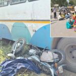 Safidon News