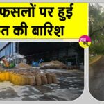 Sirsa Rains