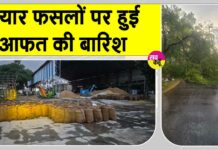 Sirsa Rains