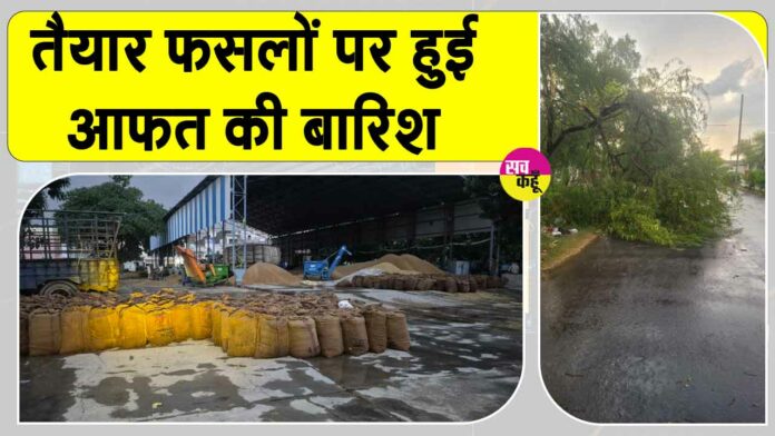 Sirsa Rains