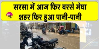 Sirsa Rain News