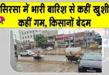 Sirsa Rain News