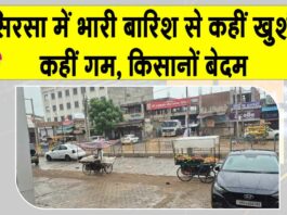Sirsa Rain News