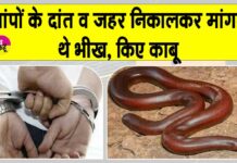 Snake News: सांप का विष व दांत निकालकर भीख मांगने वालों को पकड़ा, सांप मुक्त कराए Snake News
