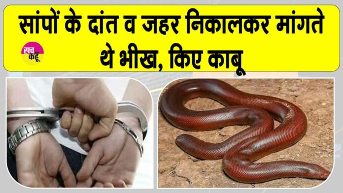 Snake News