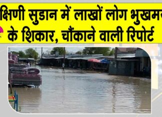 South Sudan Floods Latest Update: दक्षिण सूडान में बाढ़ से भारी तबाही, 19 की मौत व 77 लाख लोग भुखमरी के शिकार South Sudan Latest Floods News