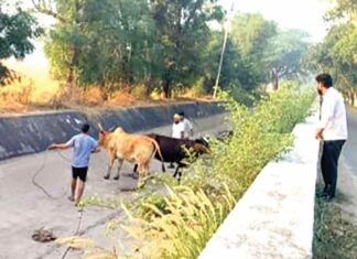 Sunam Udham Singh Wala