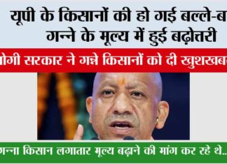 UP Kisan News
