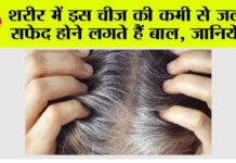 White Hair Problem: “बाल सफेद क्यों होते हैं? जाने क्या है विटामिन B-12 की अहमियत” White Hair Problem