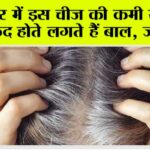 White Hair Problem: “बाल सफेद क्यों होते हैं? जाने क्या है विटामिन B-12 की अहमियत” White Hair Problem