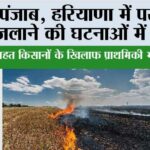 Air Pollution: पंजाब, हरियाणा में पराली जलाने की घटनाओं में कमी Air Pollution