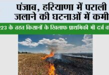 Air Pollution: पंजाब, हरियाणा में पराली जलाने की घटनाओं में कमी Air Pollution