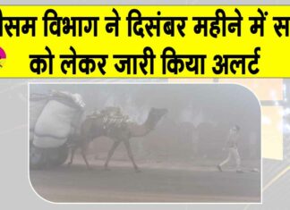 Rajasthan Weather News: दिसम्बर महीने में सर्दी को लेकर मौसम विभाग ने जारी किया अलर्ट Rajasthan Weather News