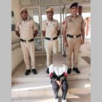 गिफ्ट गैलरी से नोटों के पैकेट चोरी करने के मामले में एक गिरफ्तार Bhiwani News