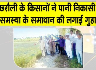 Farmers News: पानी निकासी न होने से छछरौली के किसानों की हजारों एकड़ जमीन बर्बाद, फैली बीमारियां Chhachhrauli News