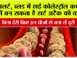 Cholesterol: ब्लड में हाई कोलेस्ट्रॉल कम उम्र में बन सकता है हार्ट अटैक की वजह, बिना देरी किए इन चीजों से बना लें दूरी Cholesterol