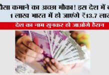 पैसा कमाने का अच्छा मौका! इस देश में कमाए 1 लाख भारत में हो जाएंगे ₹13.7 लाख Denmark Currency