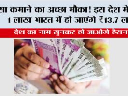 पैसा कमाने का अच्छा मौका! इस देश में कमाए 1 लाख भारत में हो जाएंगे ₹13.7 लाख Denmark Currency