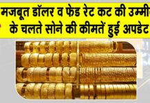Gold Price Today: सोने और चांदी की कीमतों में आई बड़ी गिरावट, मजबूत डॉलर और फेड रेट कट की उम्मीदों का असर Gold Price Today
