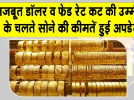 Gold Price Today: सोने और चांदी की कीमतों में आई बड़ी गिरावट, मजबूत डॉलर और फेड रेट कट की उम्मीदों का असर Gold Price Today
