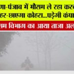 Fog-in-Haryana-Punjab