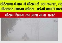 Fog-in-Haryana-Punjab