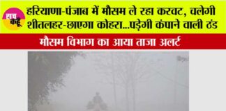 Fog-in-Haryana-Punjab