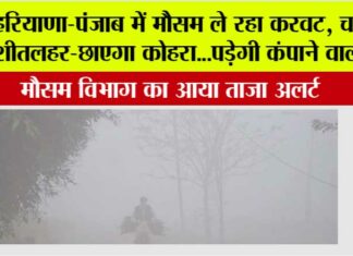 Fog-in-Haryana-Punjab