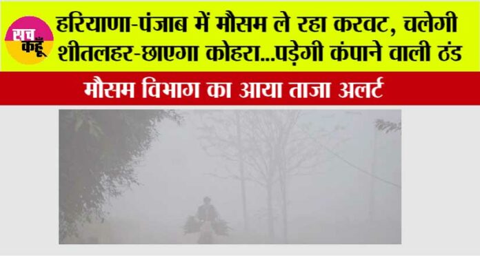 Fog-in-Haryana-Punjab Fog-in-Haryana-Punjab