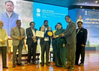 Rajasthan: राष्ट्रीय स्तर पर राजस्थान का ऐतिहासिक प्रदर्शन, आरसीडीएफ को तीन प्रमुख श्रेणियों में मिला ये सम्मान Rajasthan News