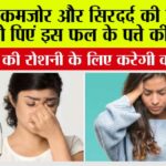 Guava Leaves For Sharper Eyesight