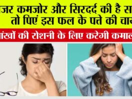 Guava Leaves For Sharper Eyesight: नजर कमजोर और सिरदर्द की है समस्या तो पिएं इस फल के पत्ते की चाय, आंखों की रोशनी के लिए करेगी कमाल Guava Leaves For Sharper Eyesight