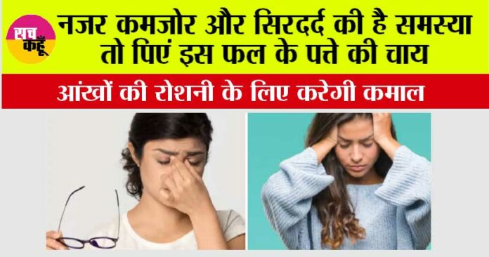 Guava Leaves For Sharper Eyesight