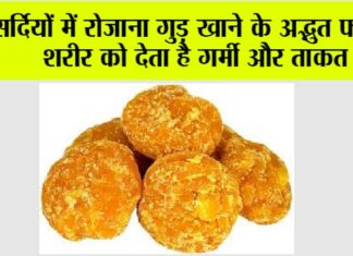 Gud in Winters: सर्दियों में रोजाना गुड़ खाने के अद्भुत फायदे, शरीर को देता है गर्मी और ताकत Gud in Winters