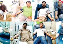 MSG Bhandara: हरियाणा के इन सेवादारों ने कुछ इस तरह से मनाया पावन अवतार दिवस Haryana News