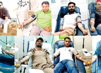 MSG Bhandara: हरियाणा के इन सेवादारों ने कुछ इस तरह से मनाया पावन अवतार दिवस Haryana News