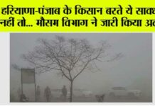 Haryana Punjab Weather: हरियाणा-पंजाब के किसान बरते ये सावधानी नहीं तो… मौसम विभाग ने जारी किया अलर्ट – Haryana Punjab Weather