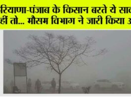 Haryana Punjab Weather