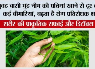 Health Tips: सुबह बासी मुंह नीम की पत्तियां खाने से दूर होती हैं कई बीमारियां, बढ़ता है रोग प्रतिरोधक क्षमता Health Tips