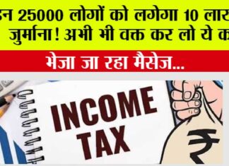 Income Tax News: इन 25000 लोगों को लगेगा 10 लाख का जुर्माना! अभी भी वक्त कर लो ये काम Income Tax News
