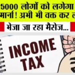 Income Tax News: इन 25000 लोगों को लगेगा 10 लाख का जुमार्ना! अभी भी वक्त कर लो ये काम Income Tax News