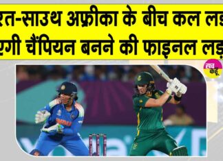 Ind vs SA World Cup Final