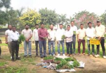 पर्यावरण संरक्षण के लिए फूलों की पौध वितरण की शुरुआत Karnal News